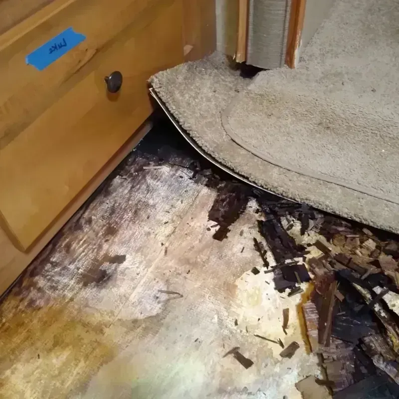 Wood Floor Water Damage in Camden County, NJ